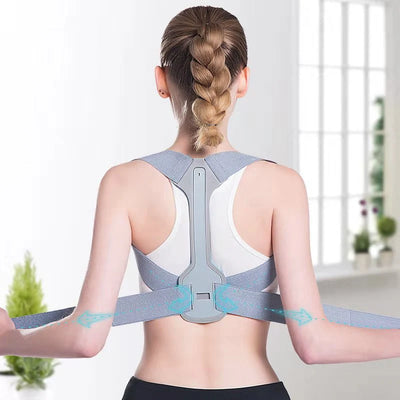 Back Support Belt