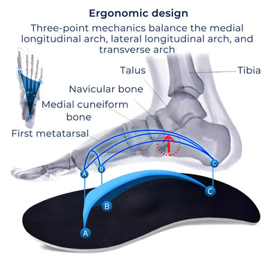 AlignPro Shoe Inserts Pronation Support | Comfort and Stability for Excessive Inward Rolling Foot Control